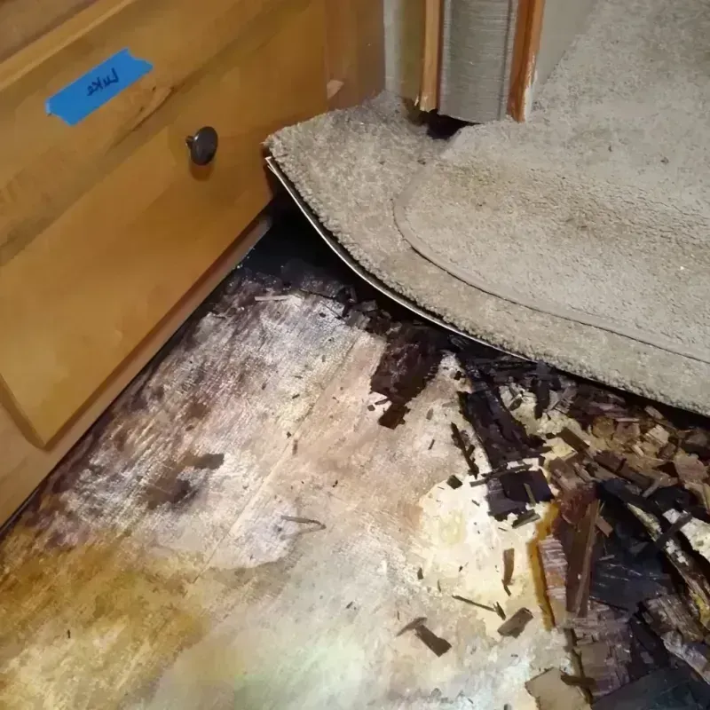 Wood Floor Water Damage in Johnson, AR